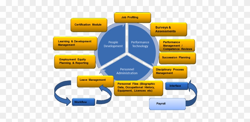 Employee Management & Occupational History - Diagram #699240
