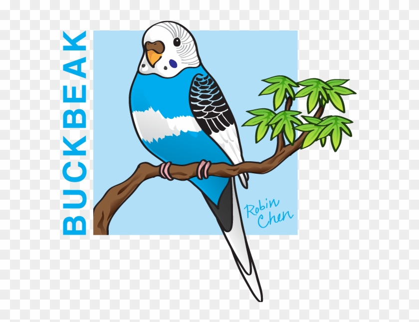 Buckbeak By Meihua - Budgie Vector #699262