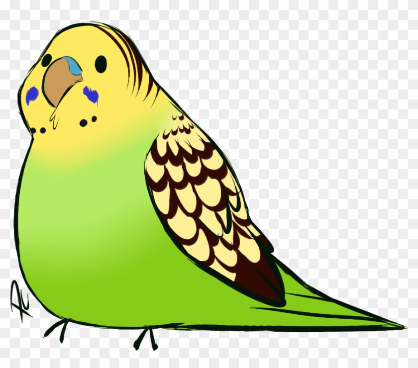 Borb By Pastel-core - Budgie #699286