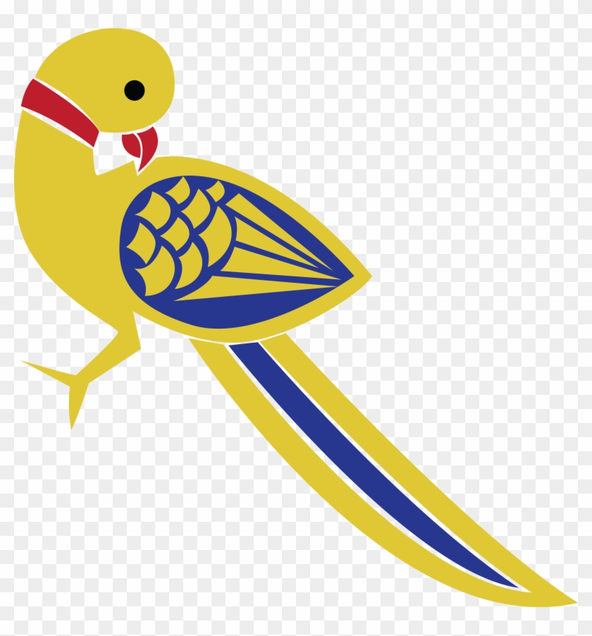 Bird - Bird #699320