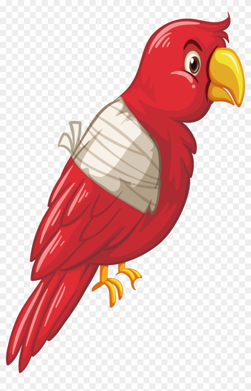 Parrot Bird Royalty-free Clip Art - Parrot Bird Royalty-free Clip Art #699430