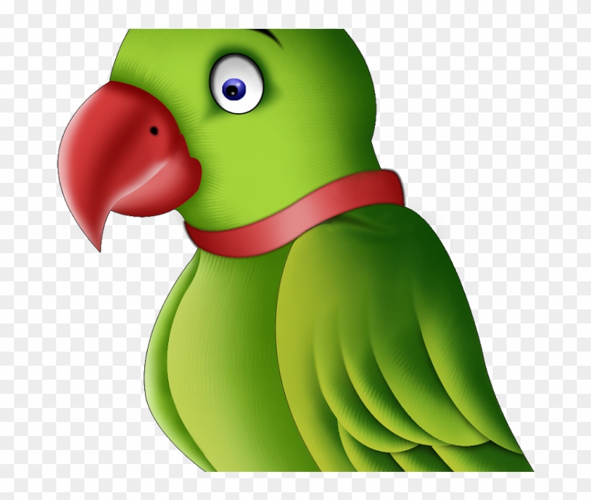 Parrot Png #699482