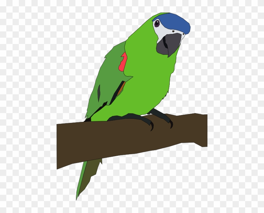 Parakeet Clipart - Clip Art #699495