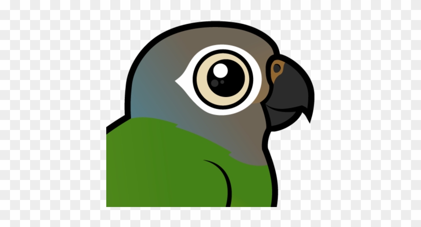 About The Dusky-headed Parakeet - Liebe Düster-köpfiges Conures Grußkarte #699504