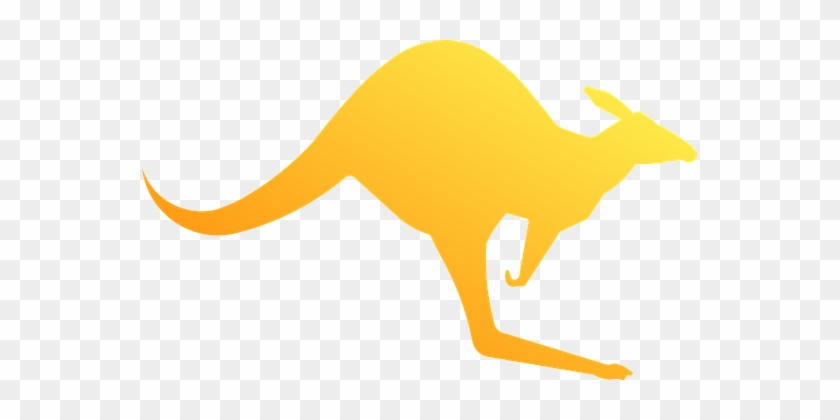 Kangaroo Marsupial Animal Australian Wild - Kangaroo Sign #699623