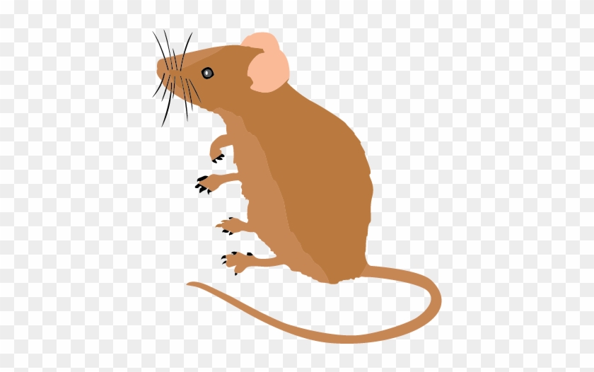 Beautiful Mouse Clipart Animal Clip Arts - Mouse Clipart #700092