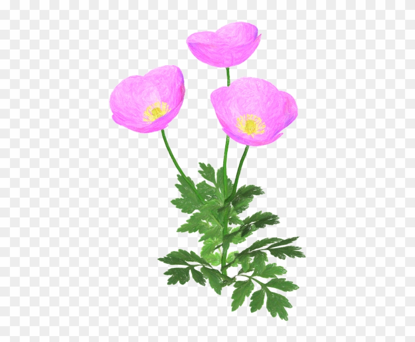 Flowers, Flower, Pink Flower, Creative, Spring - Forårsblomst Clipart Sort Hvid #700241