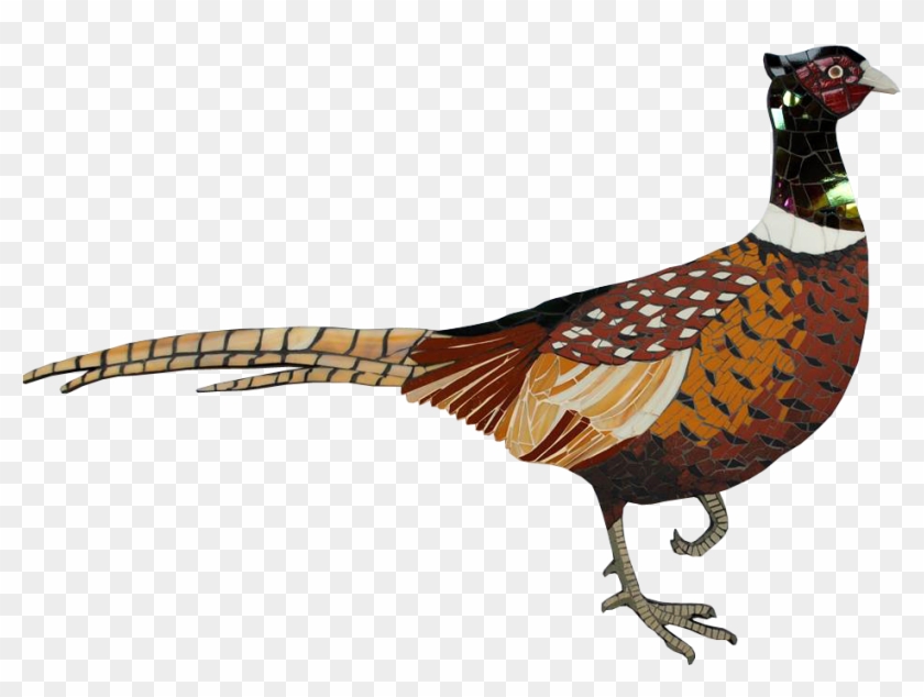 Gallery - Ring-necked Pheasant #700295