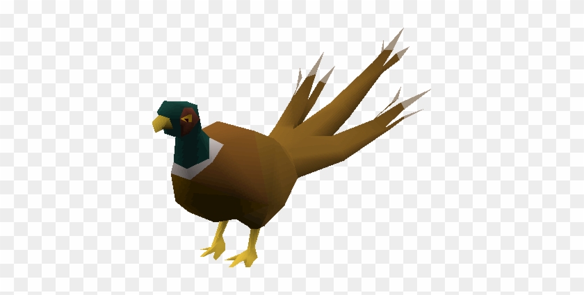 Pheasant - Fpheasant Runescape #700366