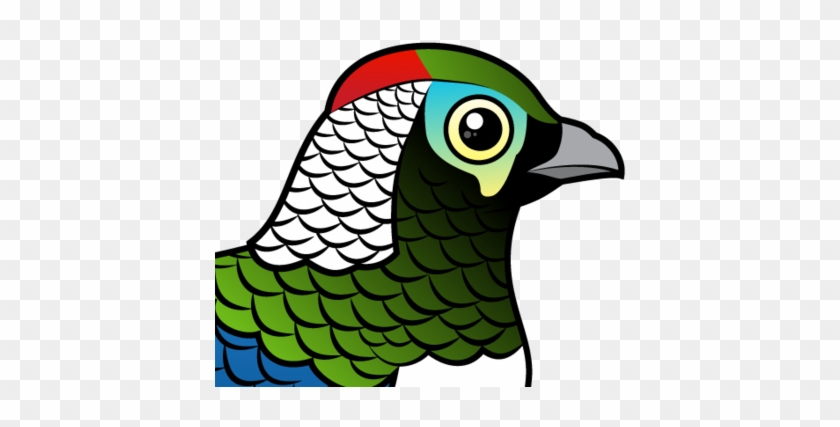 About The Lady Amherst's Pheasant - Lady Amherst's Pheasant #700423
