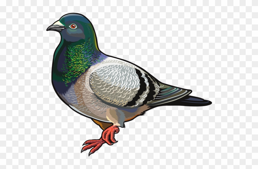 DestinationVinyl : Meilleurs 20 Produits De Autocollants, Aimants Et