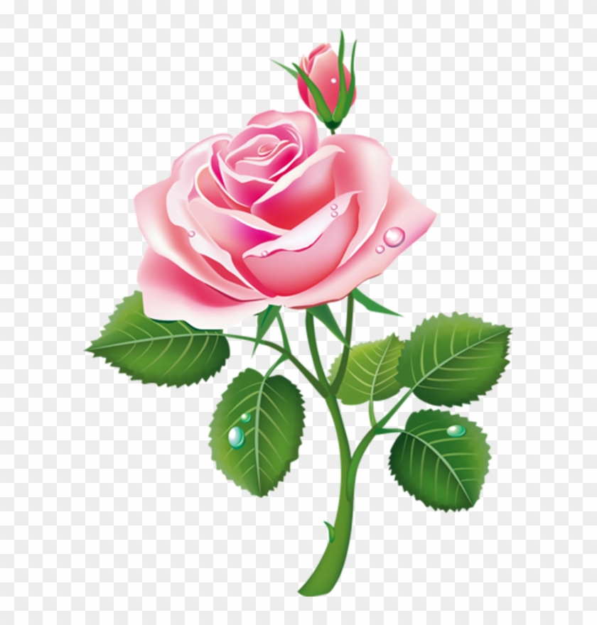 Клипарт Розы Пнг - Beautiful Pink Rose Flower #700555