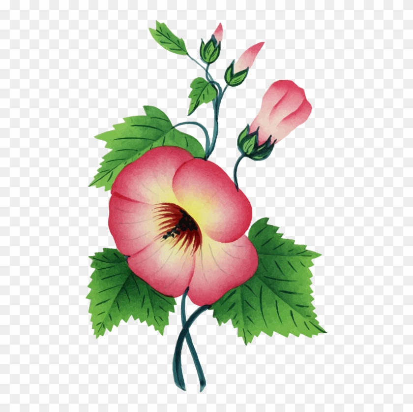 Medium Image - Flower Illustration #700557