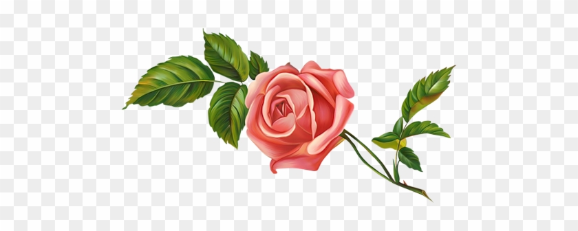 Clipart De Flores - Rose #700563