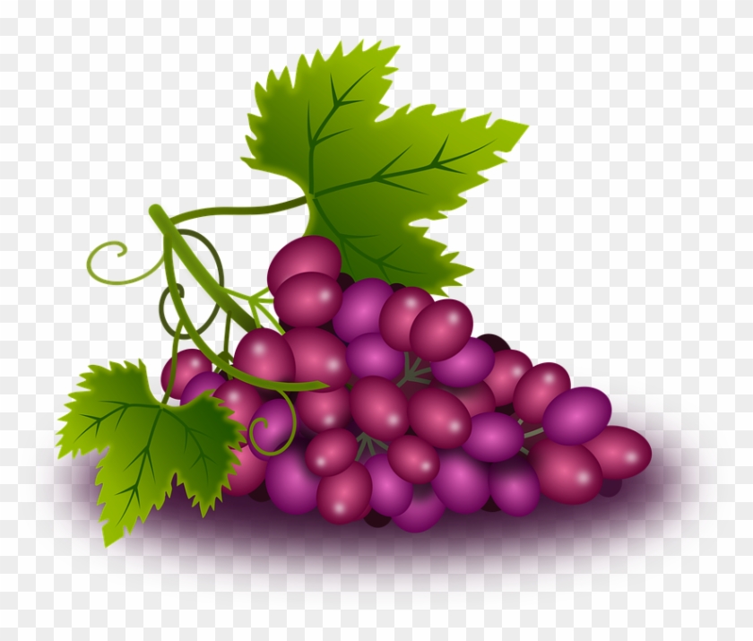 Buy Clip Art - Uvas Png #700590