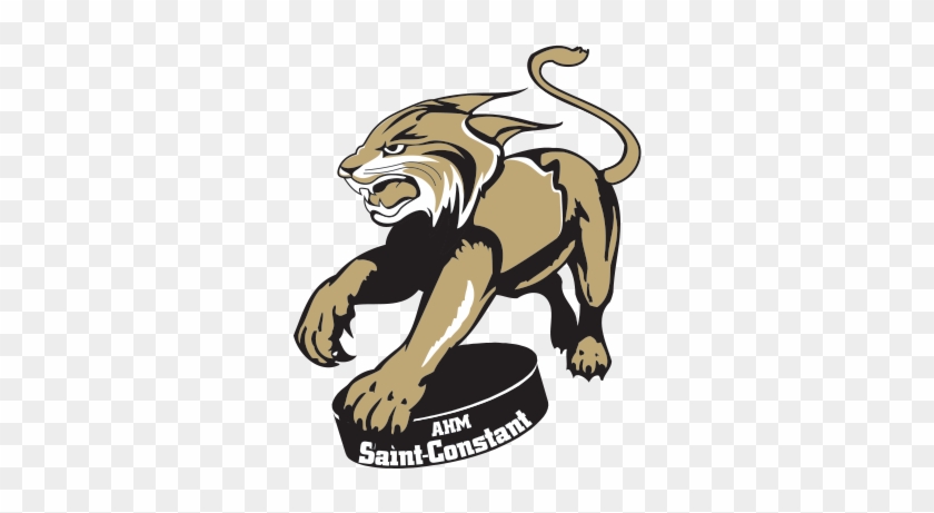 Association De Hockey Mineur De Saint-constant - Association De Hockey Mineur De Saint-constant #700946