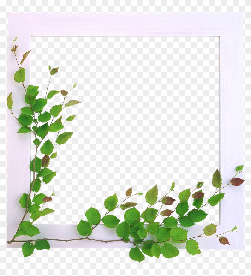 Marcos Para Fotos Con Flores - Flores Para Bordes De Paginas - Free Transparent PNG Clipart Images Download Marcos Para Fotos Con Flores - Flores Para Bordes De Paginas - Free Transparent PNG Clipart Images Download