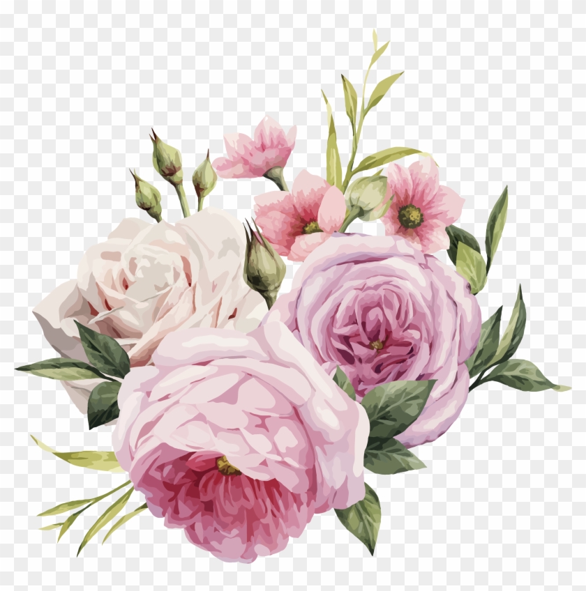 Pink Flowers Rose Color - Pink Rose Vector Png #701258