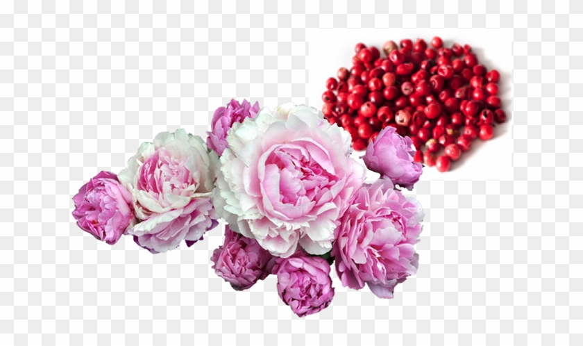 Flower Transparent #701287