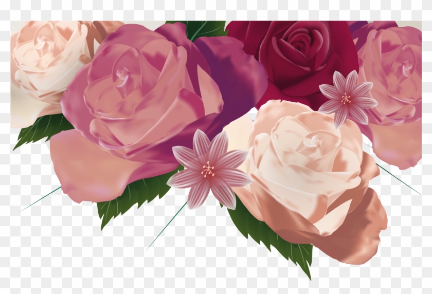 Centifolia Roses Garden Roses Floribunda Floral Design - Centifolia Roses Garden Roses Floribunda Floral Design #701408