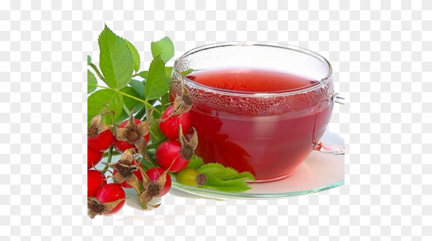 Rose Hips Tea - Cranberry Tea #701496