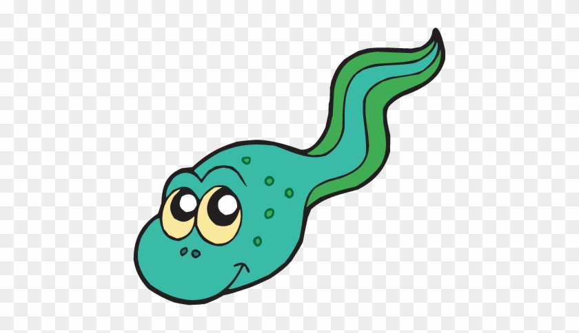 Tadpoles / Ages - Tadpole Clip Art #701532