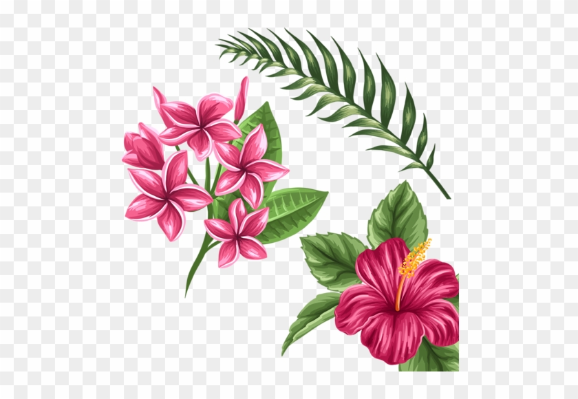 Shutterstock 271809932 - Exotic Flowers Drawings - Free ...