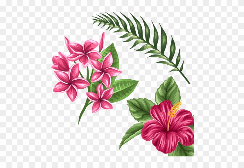 Shutterstock 271809932 - Exotic Flowers Drawings #701539