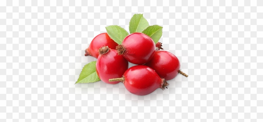 Rose Hips - Dzika Róża Owoc Suszony 100 G - Natvita #701547