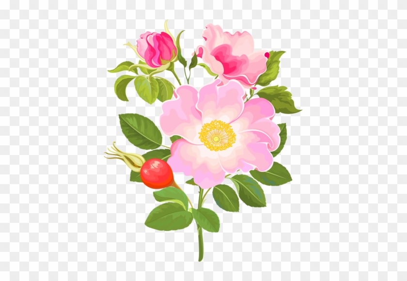 Rose Hips Flowers - Шиповник На Прозрачном Фоне #701555