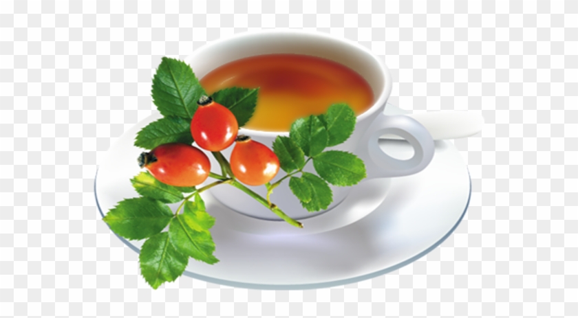 Rose Hips Tea - Medicinal Plants #701560