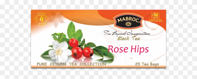Mab001 - Rose #701614
