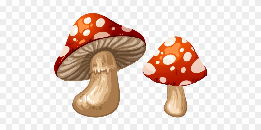 Mushrooms Clipart Biezumd - Mushroom Clipart Png #702114
