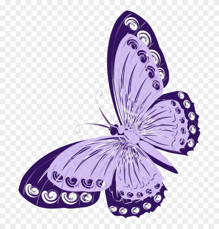 Butterfly - Бабочки Вектор Png #702259
