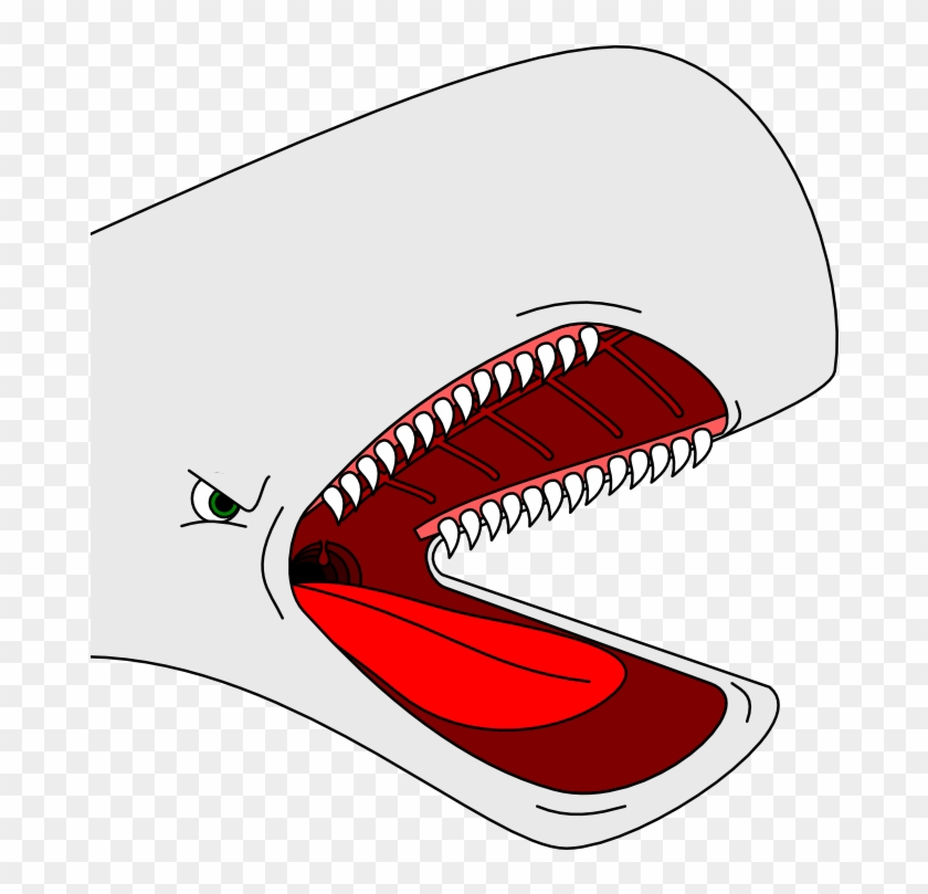 Stereotyped Cartoon Whale Head By Arek-91 On Clipart - Whale Head Cartoon #702515