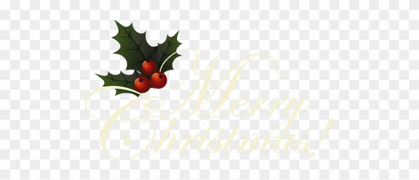 Christmas Clip Art Santa Behind A Christmas Tree Clip - .de #702518