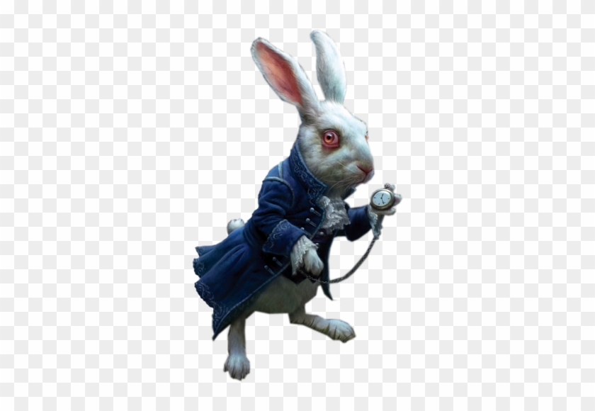 Alice Aux Pays Des Merveilles - White Rabbit Alice Png #703185
