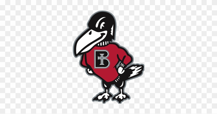 Benedictine College Football - Benedictine Ravens #703196