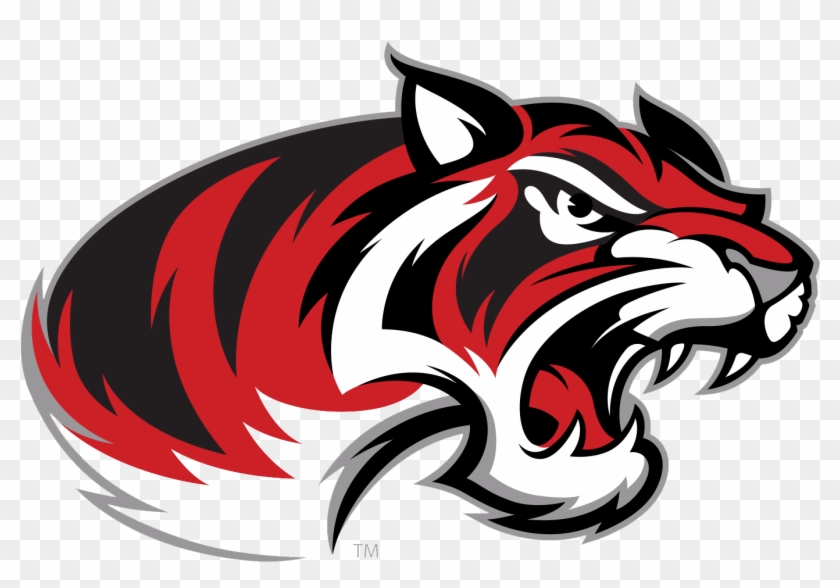 Braswell Bengals - Braswell High School Football #703202