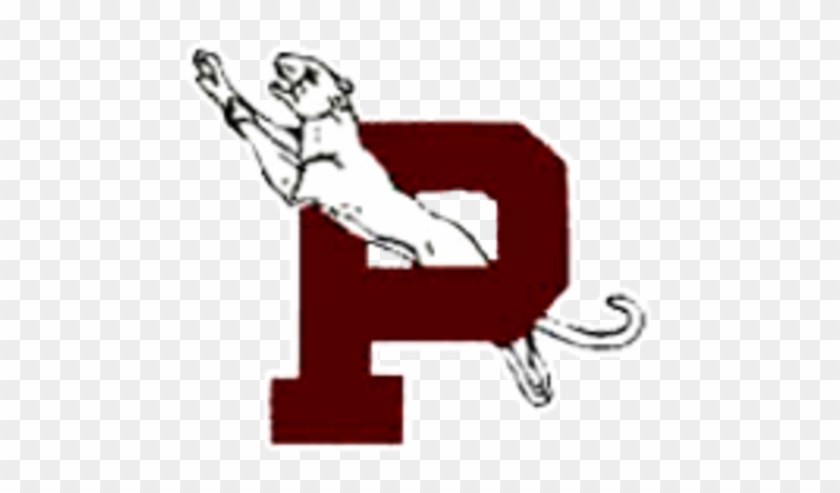 Paulding Panthers - Paulding Panthers Logo #703245