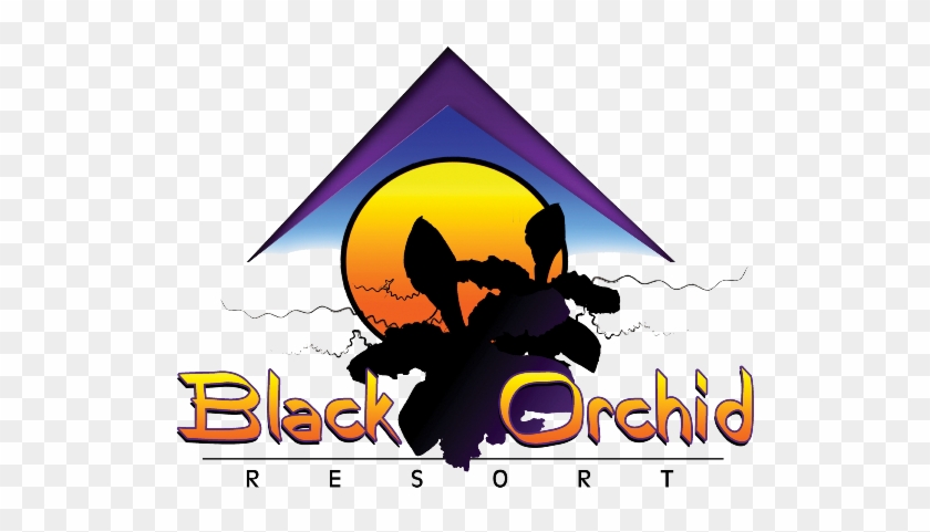 Black Orchid Resort Belize Black Orchid Resort Belize - Black Orchid Resort Belize #703289