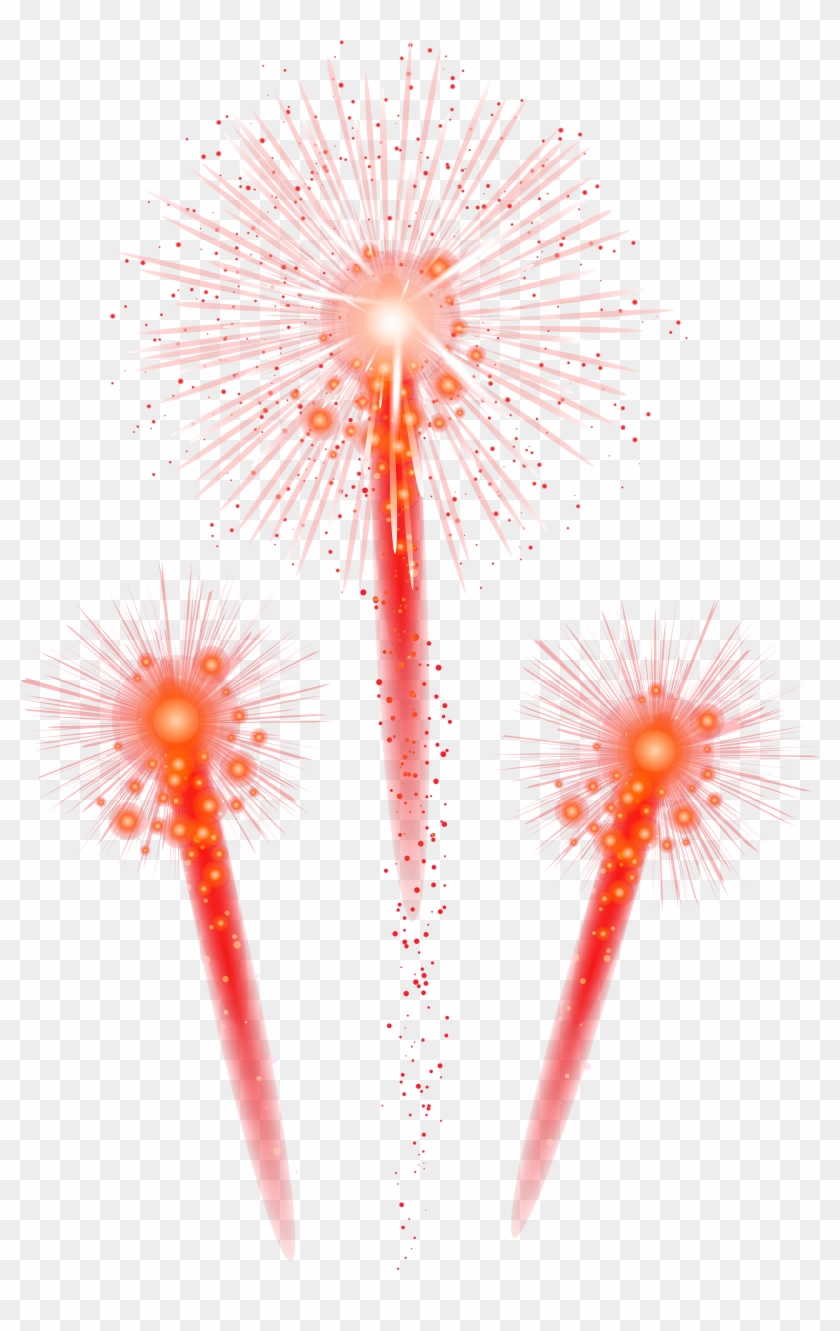 Fireworks Clipart Pink - Echinoderm #703786