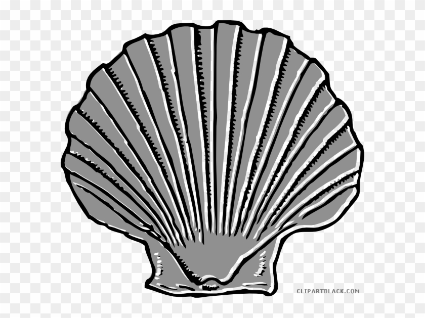 Seashell Animal Free Black White Clipart Images Clipartblack - Shell Clip Art #703813