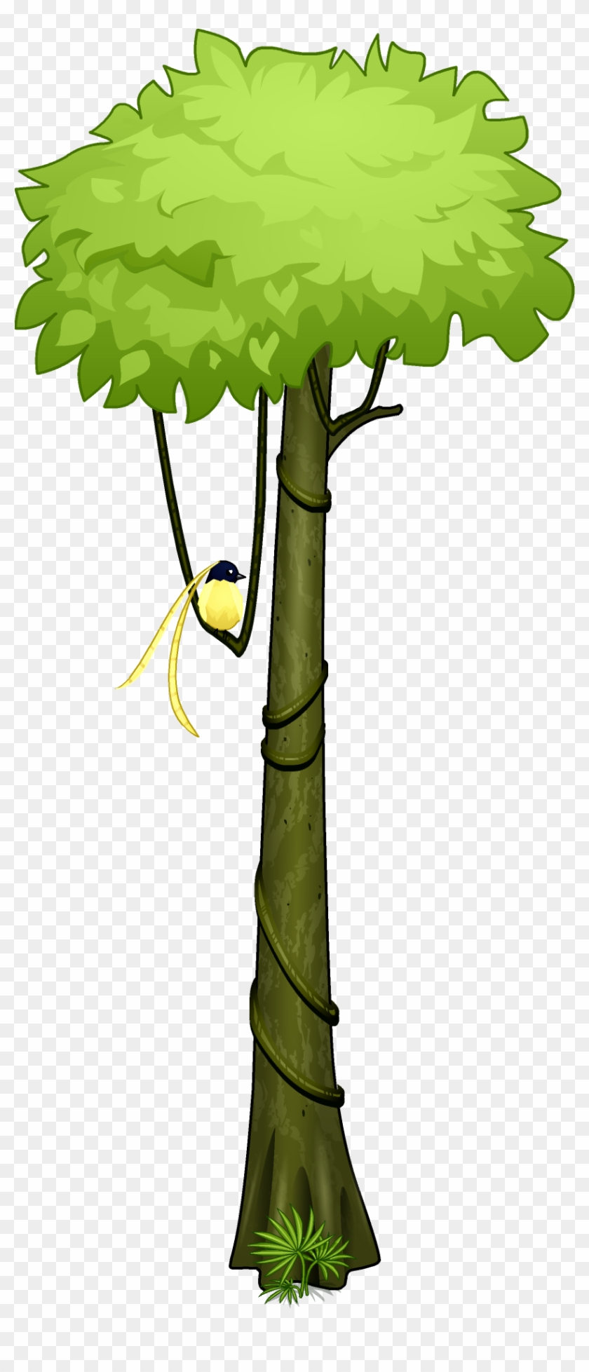 Amazon Rainforest Tropical Rainforest Tree Clip Art - Rainforest Tree Clip Art #704226