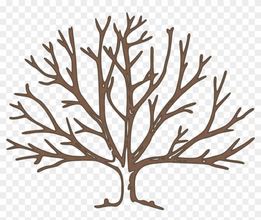 Tree Free Content Clip Art - Tree Free Content Clip Art #704245