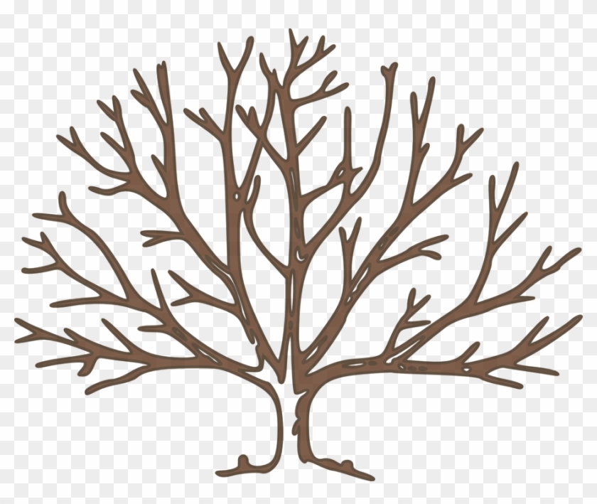 Tree Free Content Clip Art - Tree Free Content Clip Art #704245