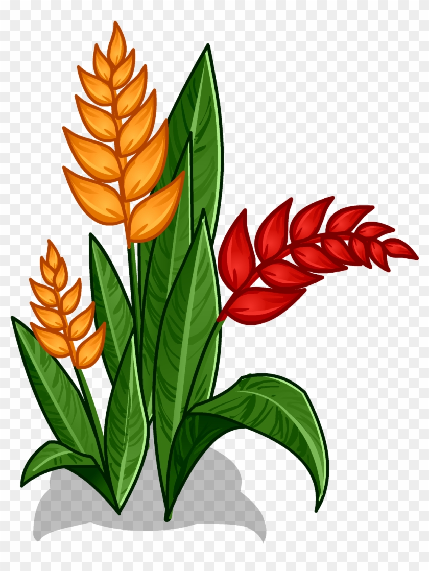 Cut Flowers Amazon Rainforest Clip Art - Rainforest Flowers Clipart #704270