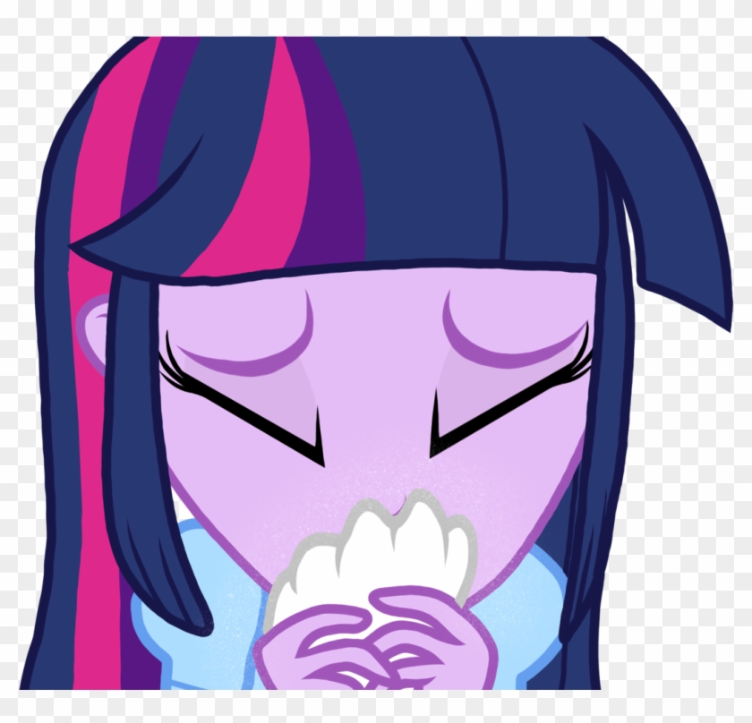 Proponypal, Equestria Girls, Handkerchief, Nose Blowing, - Proponypal, Equestria Girls, Handkerchief, Nose Blowing, #704294