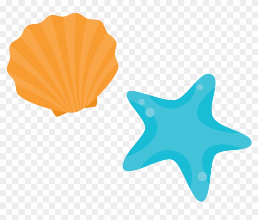 Shore Seashell Beach - Beach Shell Cartoon Shell #704597