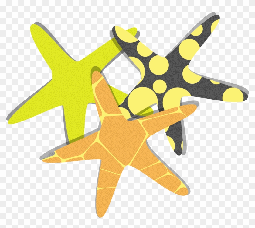 Starfish Euclidean Vector Clip Art - Starfish Euclidean Vector Clip Art #704757